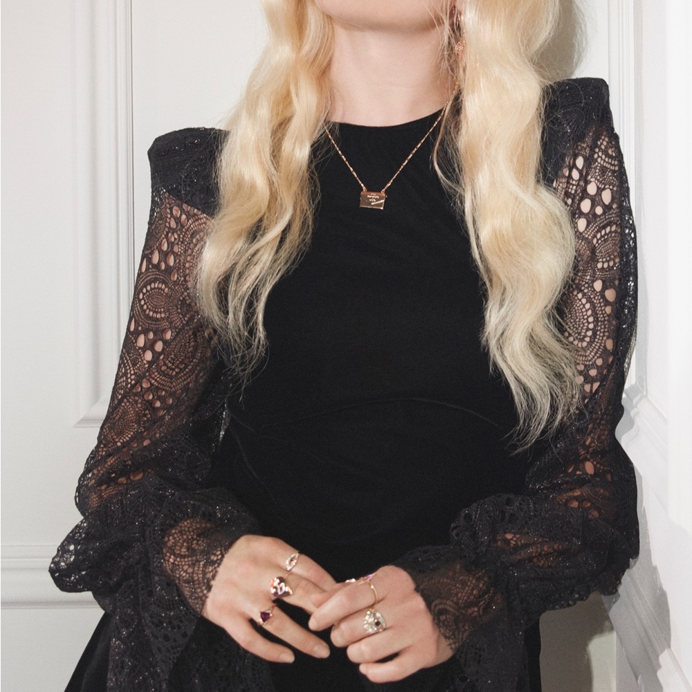 Vampire's Wife X H&M velvet dress